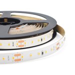 SMD2216 LED STRIP SERIES